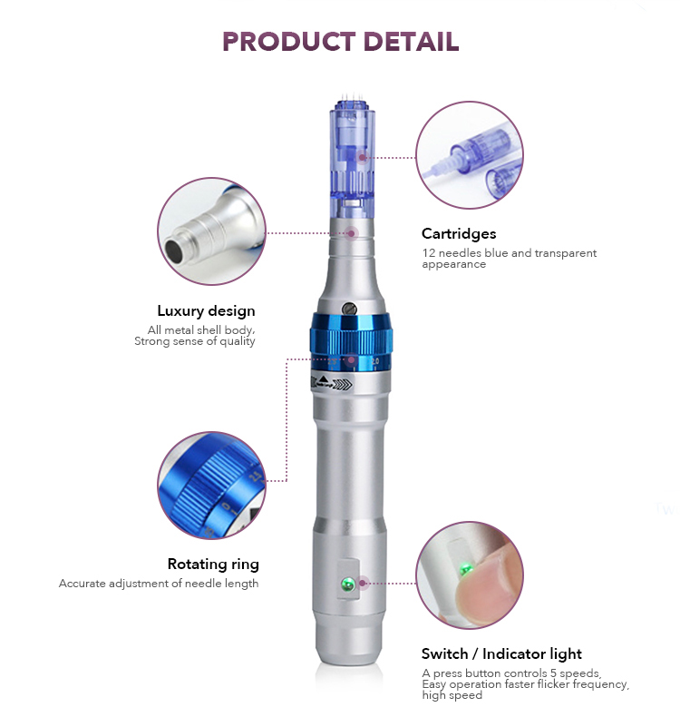 DERMA PEN A6