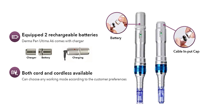 DERMA PEN A6